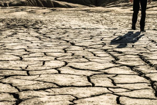 REVOLUCIÓN VERDE qué es ventajas y desventajas Resumen