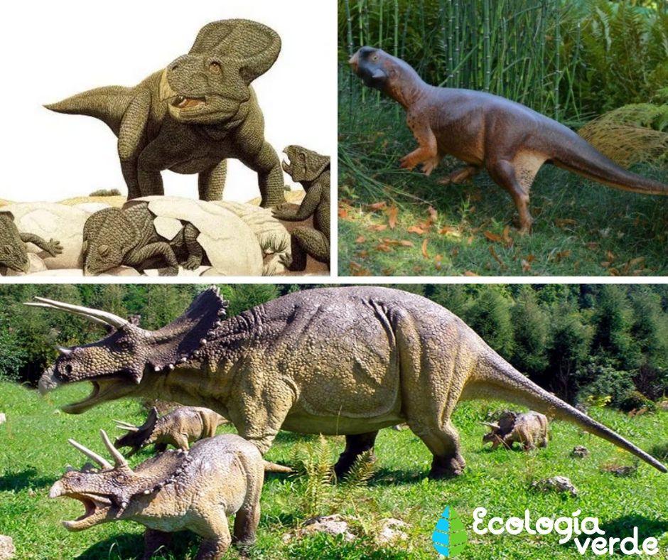 DINOSAURIOS HERBÍVOROS Nombres Tipos Características e Imágenes