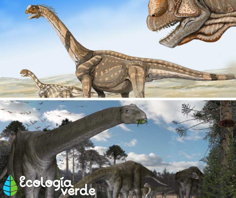 DINOSAURIOS HERBÍVOROS Nombres Tipos Características e Imágenes