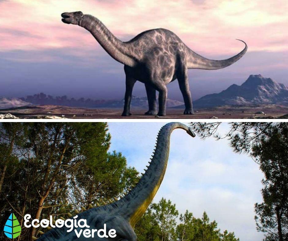 DINOSAURIOS HERBÍVOROS Nombres Tipos Características e Imágenes