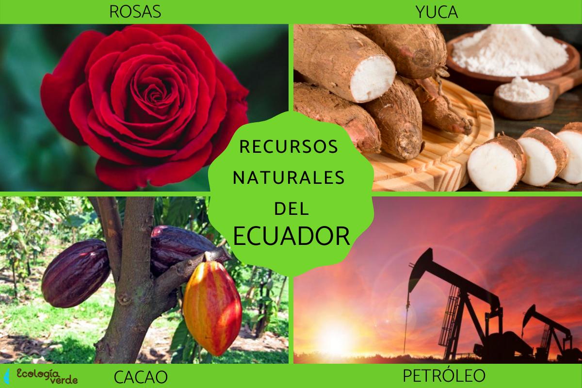 Recursos naturales del Ecuador
