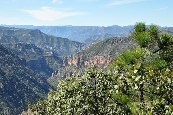 Climas de México: cuáles son y características - Clima D - Continental 