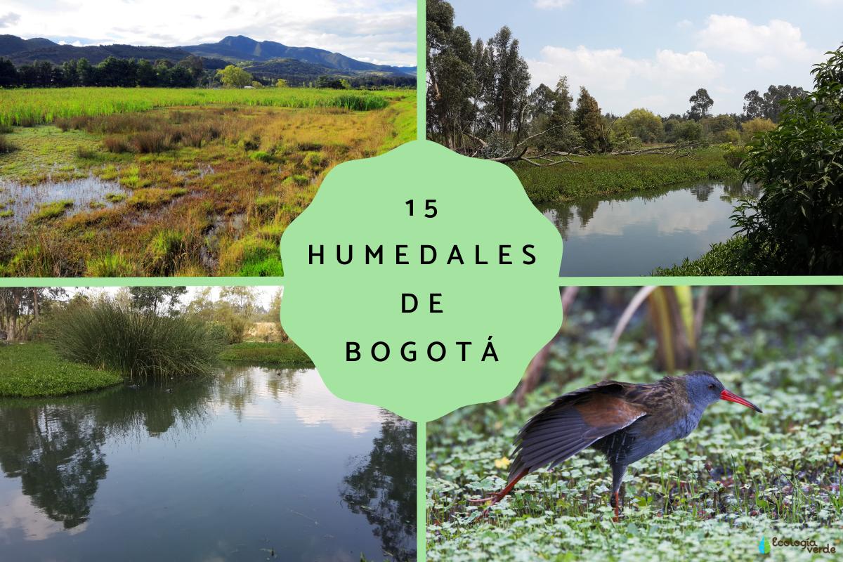 Humedales de Bogotá