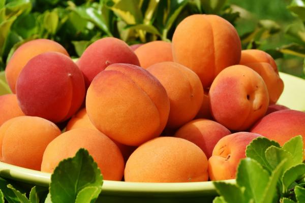 Frutas de verano - Melocotón