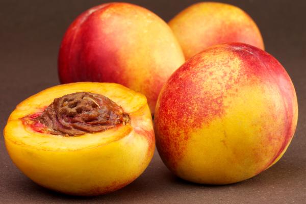 Frutas de verano - Nectarina