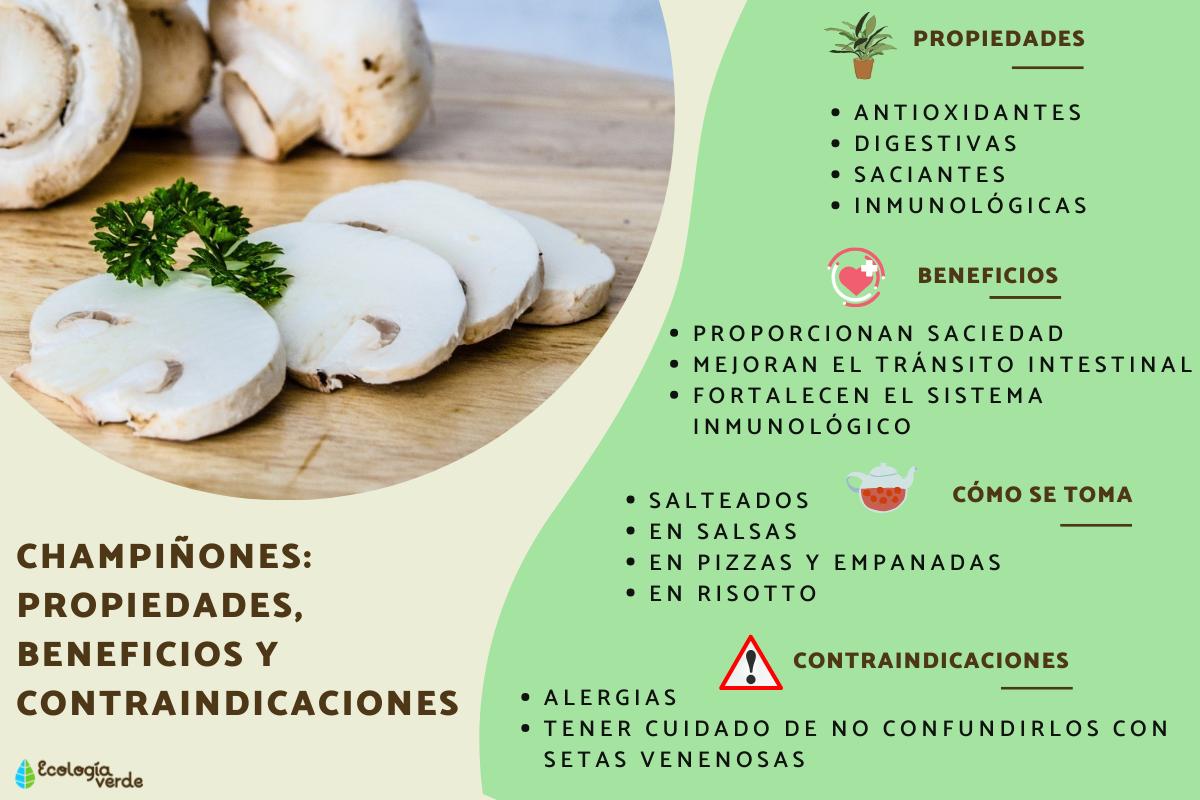 Champiñones: propiedades, beneficios y contraindicaciones