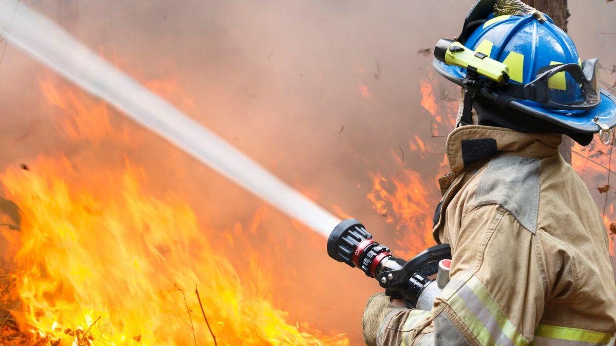 “Los incendios forestales ya no son solo cosa del verano”, advierte el ambientólogo Germán Portillo