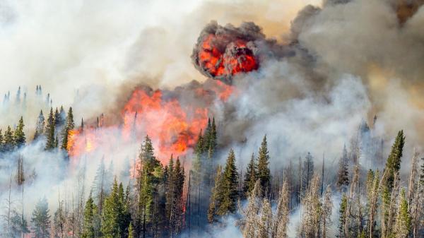 “Los incendios forestales ya no son solo cosa del verano”, advierte el ambientólogo Germán Portillo - Los incendios forestales ya no son un problema exclusivo del verano