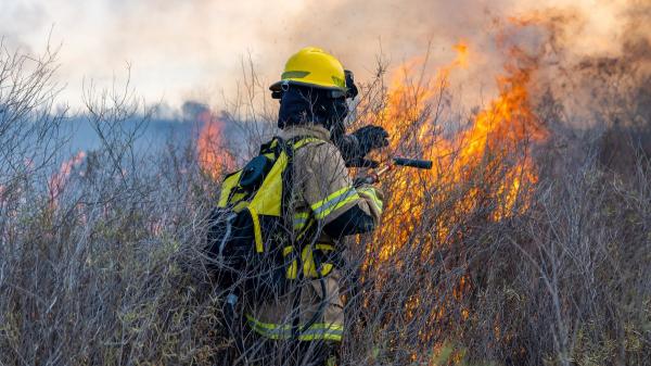 “Los incendios forestales ya no son solo cosa del verano”, advierte el ambientólogo Germán Portillo - ¿Por qué ahora los incendios son más intensos y difíciles de apagar?