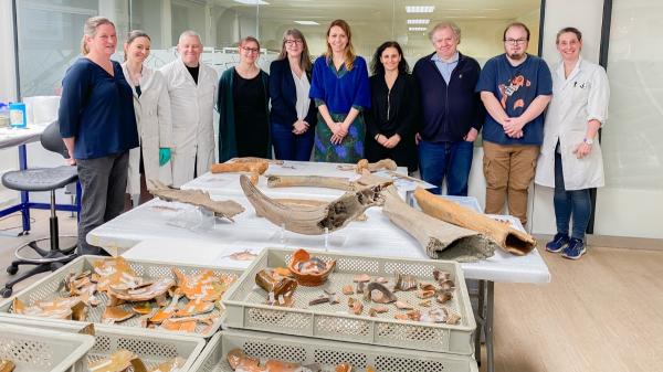 Un gran descubrimiento durante las obras del metro de Bruselas: encuentran huesos de mamut de hace más de 11.000 años - No solo encontraron mamuts: también apareció un enorme ciervo de la Edad de Hielo