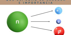 Fuerza nuclear débil: qué es, cómo se calcula e importancia