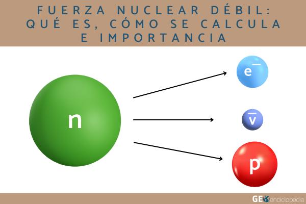 Fuerza nuclear débil: qué es, cómo se calcula e importancia