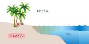 Playa: qué es, cómo se forma, tipos y ejemplos