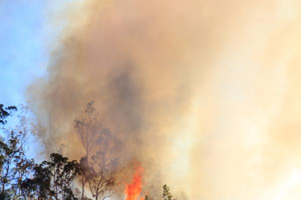 Tormentas de fuego: qué son, cómo se forman y riesgos - ¿Cómo se forman las tormentas de fuego?
