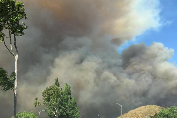 Tormentas de fuego: qué son, cómo se forman y riesgos - ¿Qué son las tormentas de fuego y sus causas?