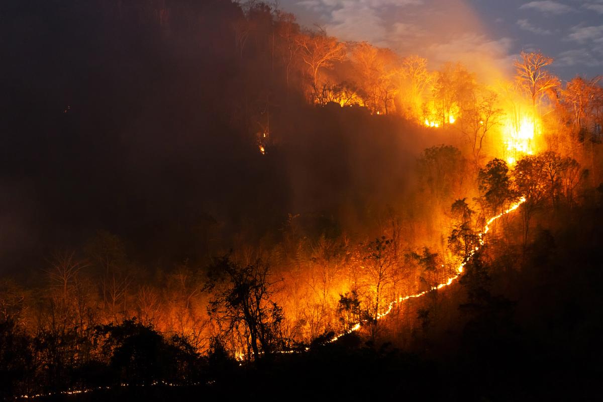 Tormentas de fuego: qué son, cómo se forman y riesgos