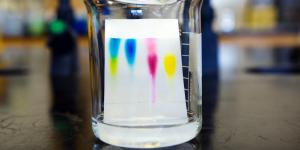 Cromatografía: qué es y tipos