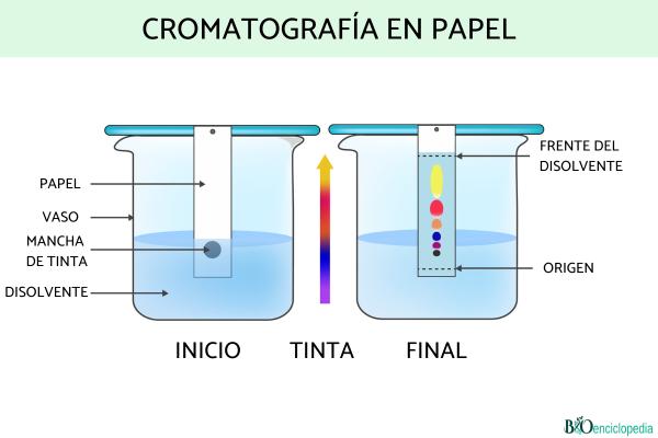 Cromatografía: qué es y tipos - Tipos de cromatografía