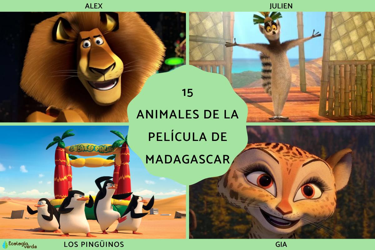 Animales de la película de Madagascar