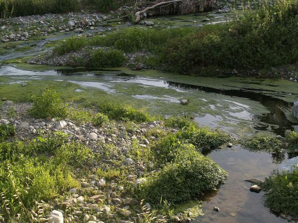 Ríos de Barcelona - Río Congost