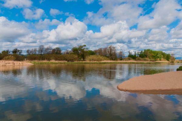 Ríos de Barcelona - Río de la Tordera