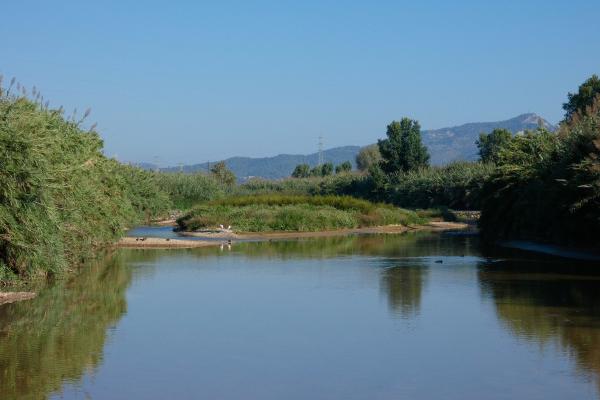 Ríos de Barcelona - Río Llobregat