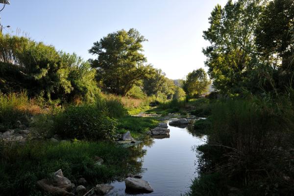 Ríos de Barcelona - Río Mogent