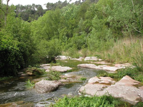 Ríos de Barcelona - Río Ripoll