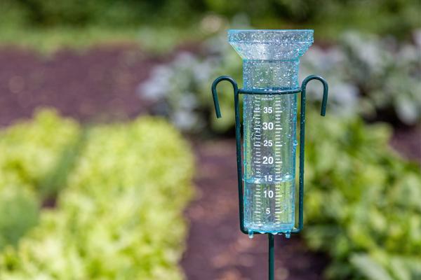 Lluvia: qué es, cómo se forma, tipos, cómo se mide y consecuencias - Cómo se mide la lluvia