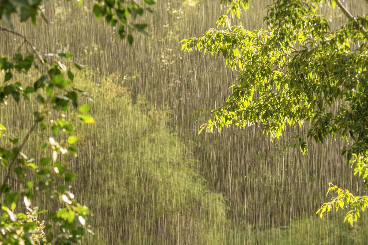 Lluvia: qué es, cómo se forma, tipos, cómo se mide y consecuencias