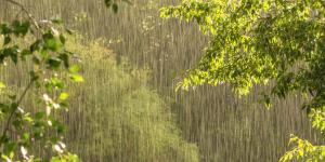 Lluvia: qué es, cómo se forma, tipos, cómo se mide y consecuencias