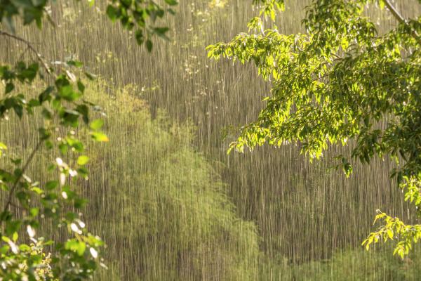 Lluvia: qué es, cómo se forma, tipos, cómo se mide y consecuencias