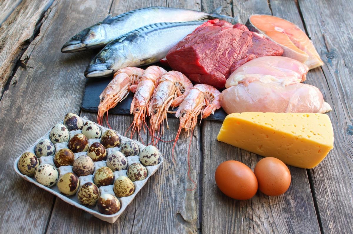 Alimentos de origen animal: ejemplos