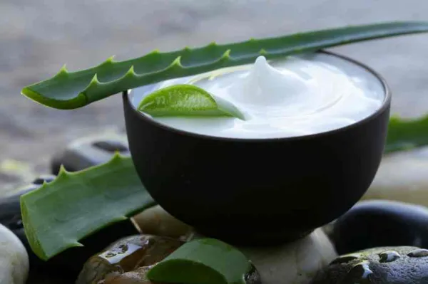 Cmo hacer GEL de ALOE VERA Casero - FCIL y con VDEO Cmo hacer GEL de ALOE VERA Casero - FCIL y con VDEO