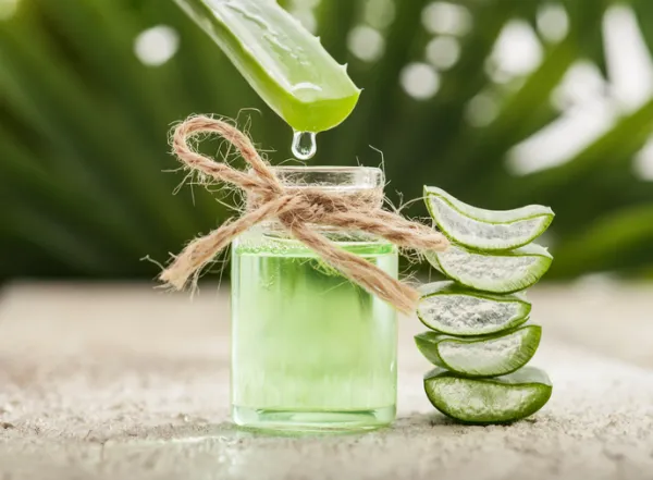 sabila lubricante natural Kit de gel de Aloe Vera: tu aliado natural para el cuidado