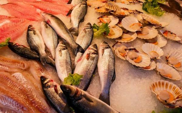 Alimentos de origen animal: ejemplos - Cuáles son los alimentos de origen animal