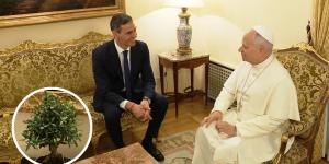 El bonsái de olivo que Pedro Sánchez regaló al Papa: qué cuidados necesita esta especie mediterránea