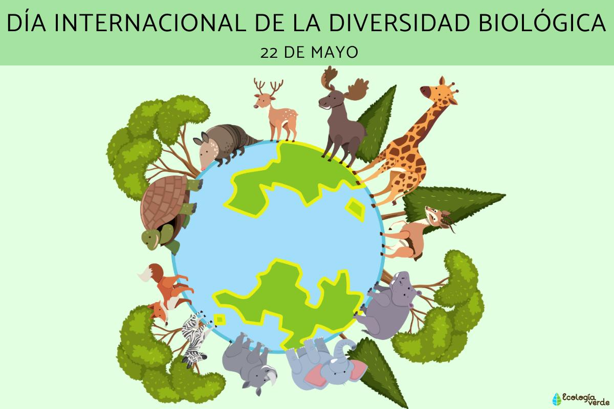 Día Internacional de la Diversidad Biológica: qué es, cuándo es, por qué se celebra y frases