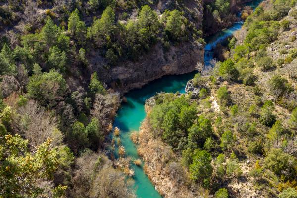 Río Júcar - Importancia del río Júcar