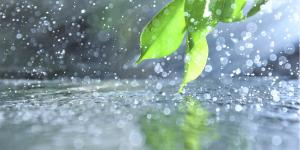 Llovizna: qué es, efectos y dónde ocurre