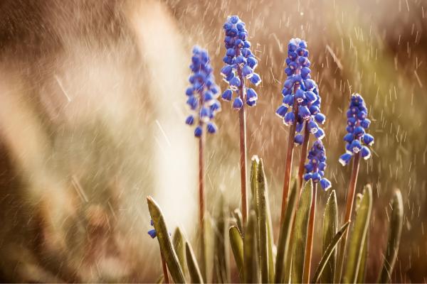 Llovizna: qué es, efectos y dónde ocurre - Qué es la llovizna