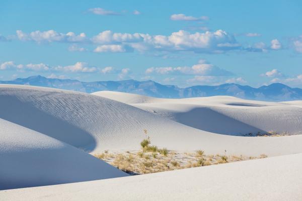 Dunas: qué son, cómo se forman y tipos - Tipos de dunas