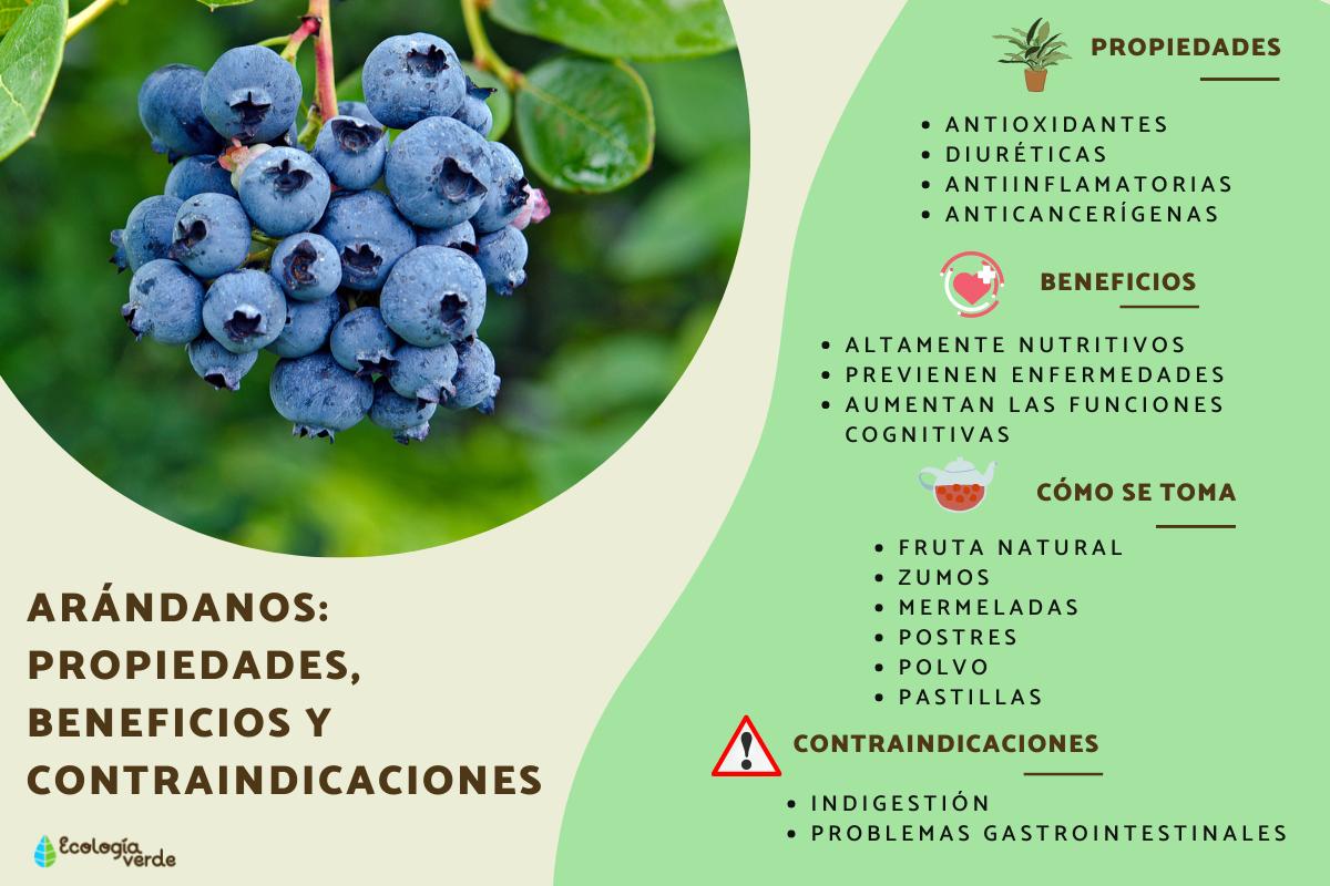 Arándanos: propiedades, beneficios y contraindicaciones
