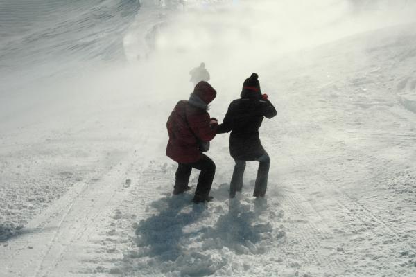 Tormenta de nieve: qué es, cómo se forma, dónde hay y consecuencias - Qué es una tormenta de nieve