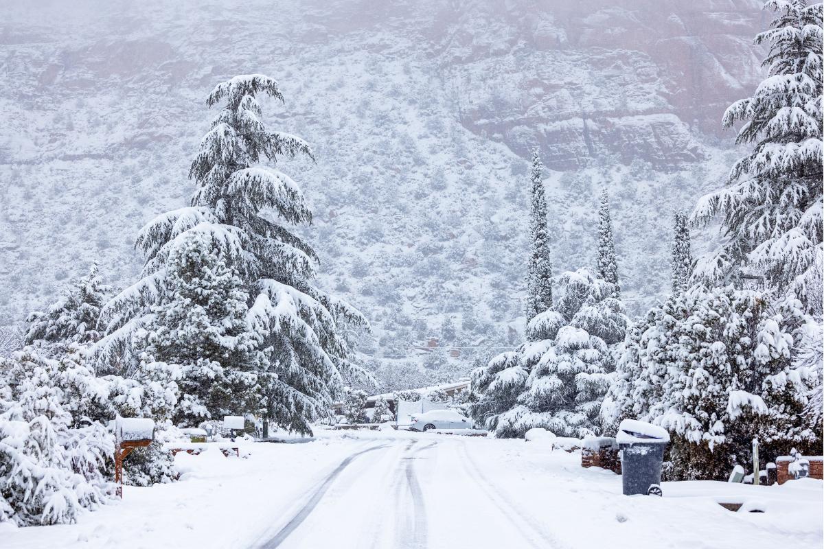 Tormenta de nieve: qué es, cómo se forma, dónde hay y consecuencias