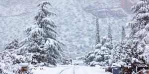 Tormenta de nieve: qué es, cómo se forma, dónde hay y consecuencias
