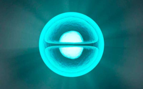 El Ciclo Celular, Etapas y Tipos - Células eucariotas