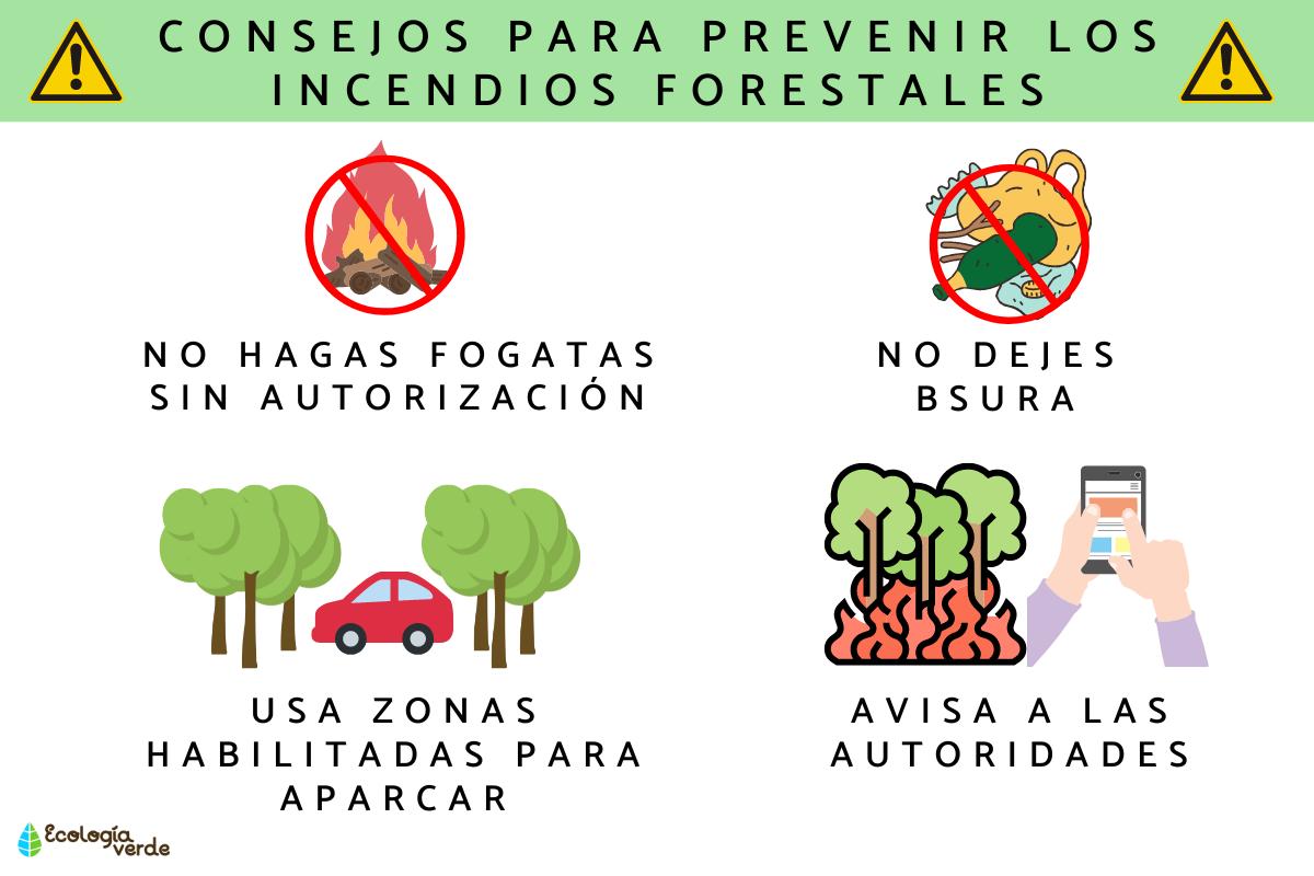 Cómo prevenir los incendios forestales