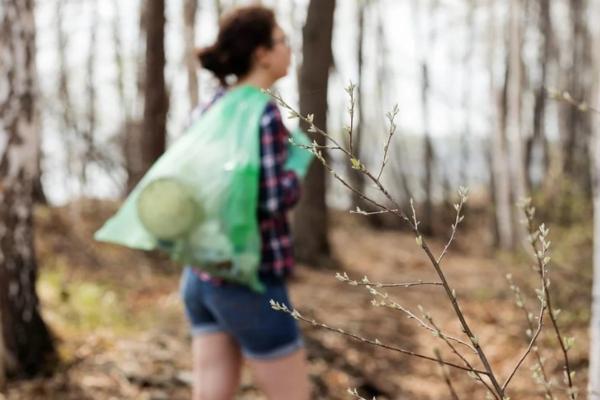 Cómo prevenir los incendios forestales - Consejos para prevenir los incendios forestales