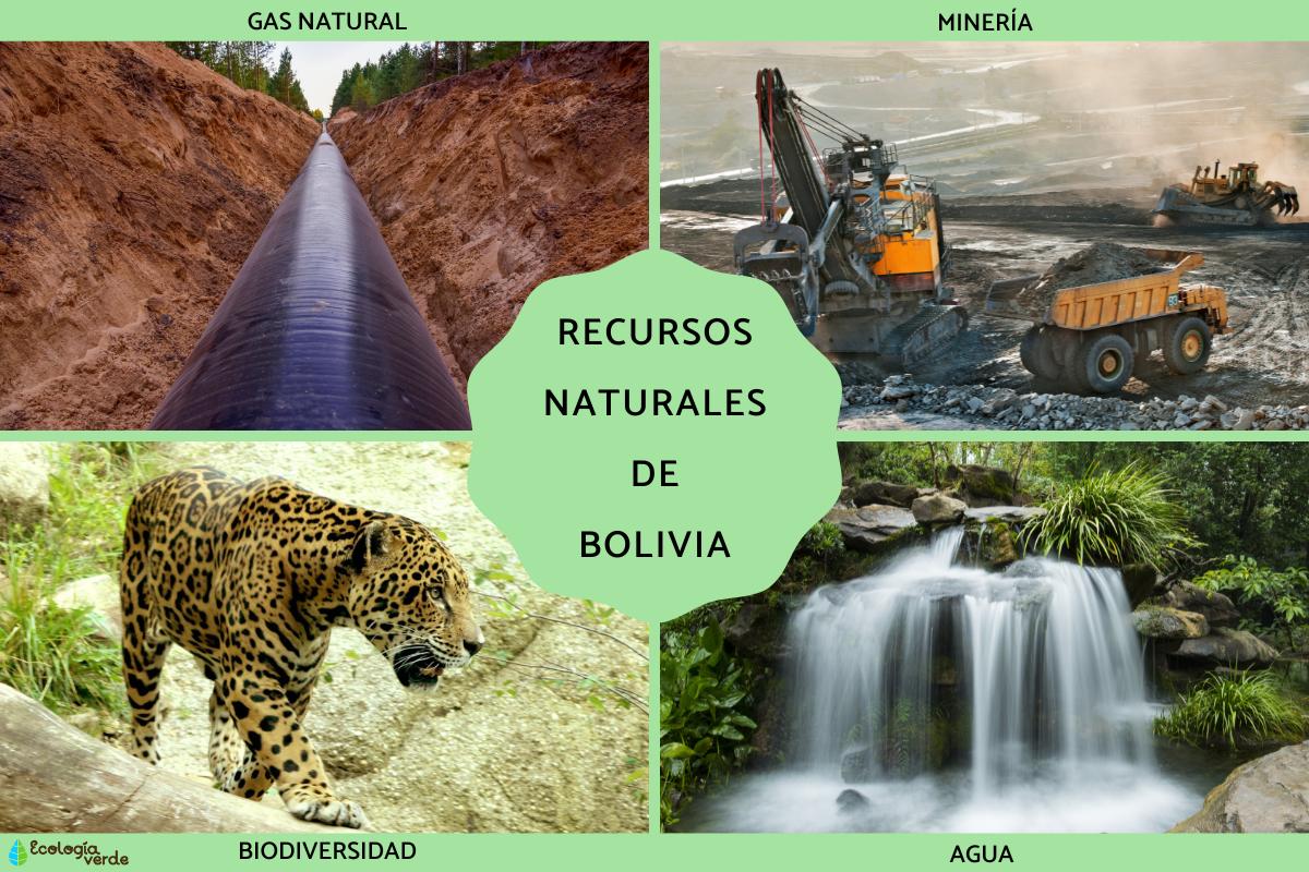 Recursos naturales de Bolivia